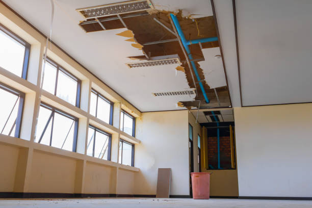 Water damage restoration experts in TX