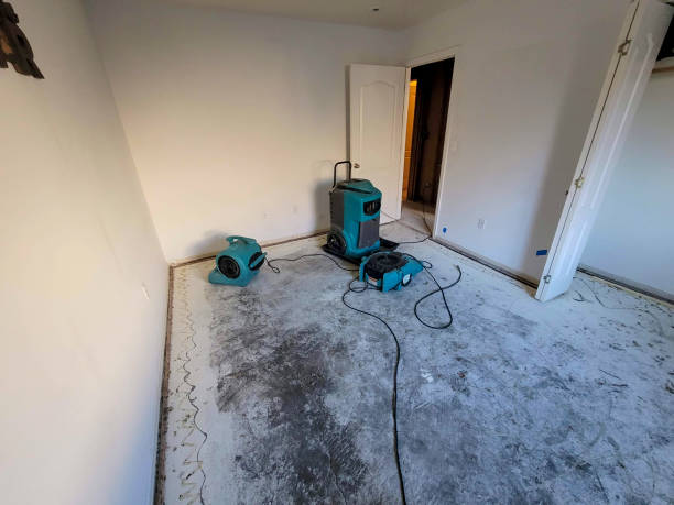 Best Basement water damage restoration  in East Mountain, TX