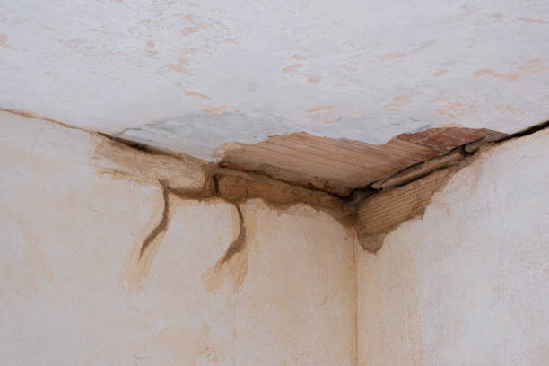Best Sewage cleanup and water damage restoration  in East Mountain, TX
