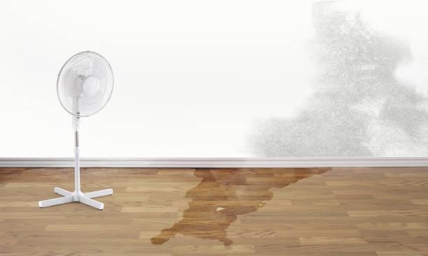 Best Flood restoration services  in East Mountain, TX