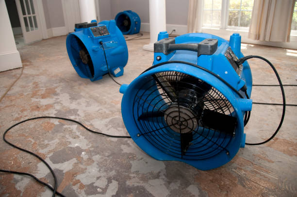 Best Commercial water damage restoration  in East Mountain, TX