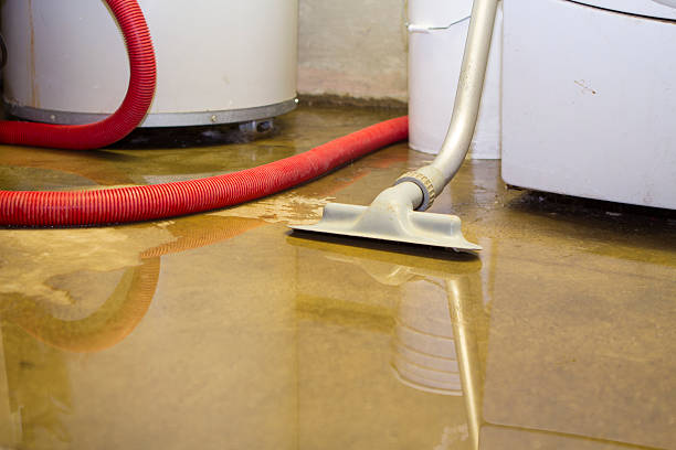 Best Water damage cleanup near me  in East Mountain, TX
